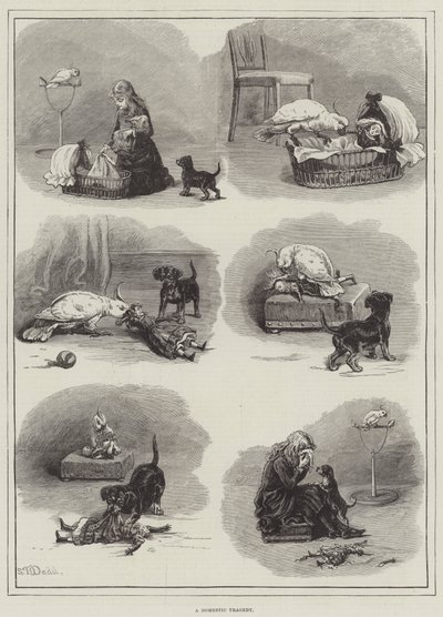 Une tragédie domestique - S.T. Dadd